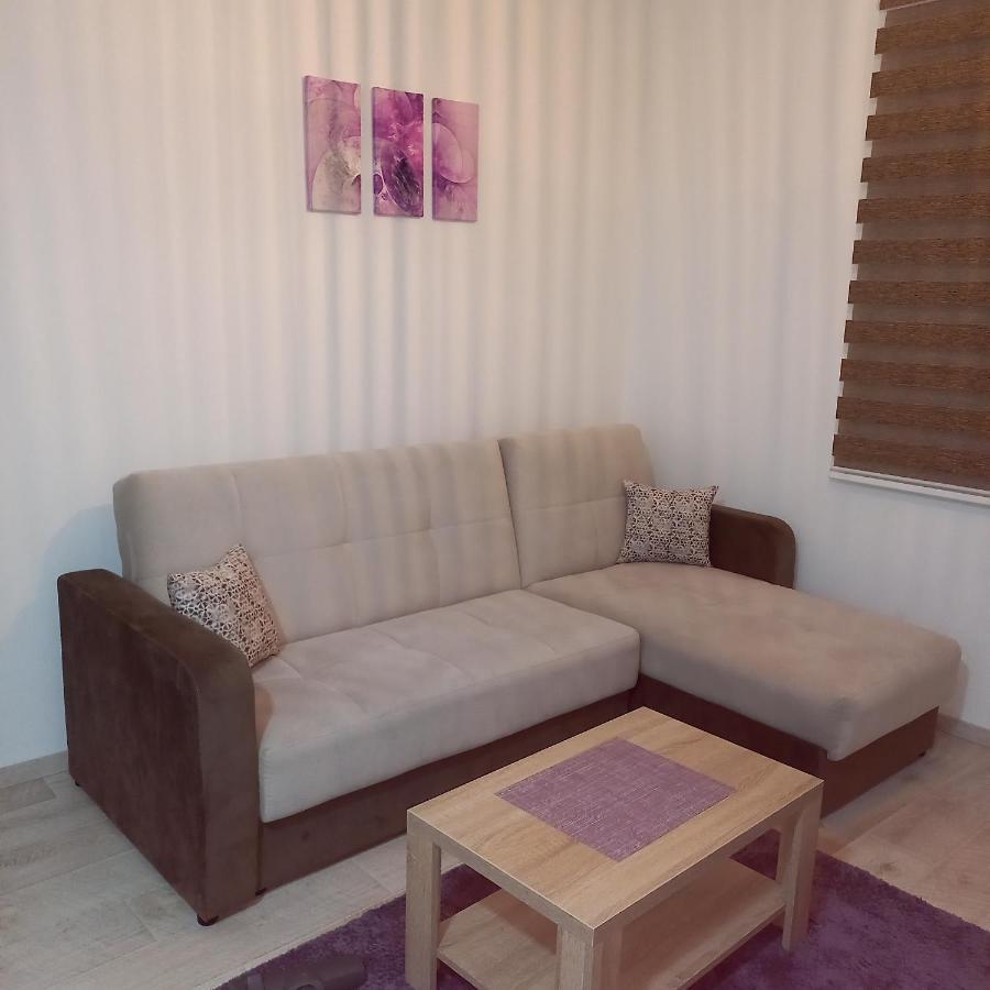 Apartman Alba Kopaonik Ngoại thất bức ảnh